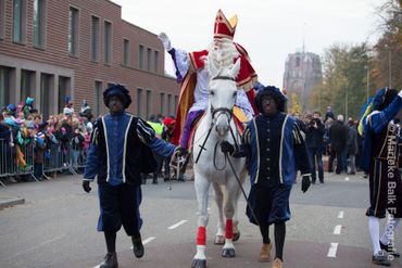 Paard Sinterklaas 